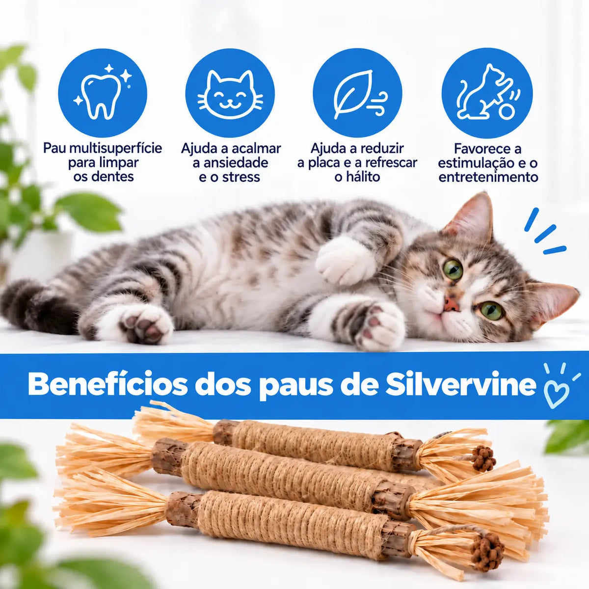 Vidatabi – Paus Dentais Naturais para Gatos