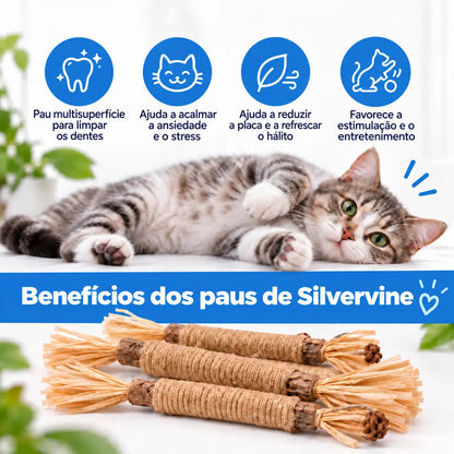 Vidatabi – Paus Dentais Naturais para Gatos