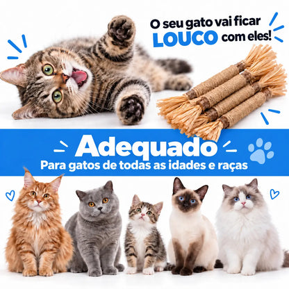 Vidatabi – Paus Dentais Naturais para Gatos