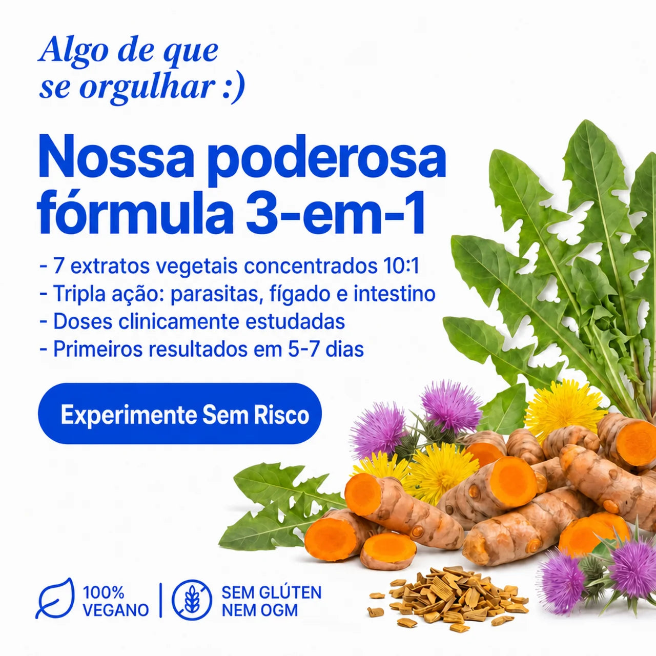 Protocolo Detox