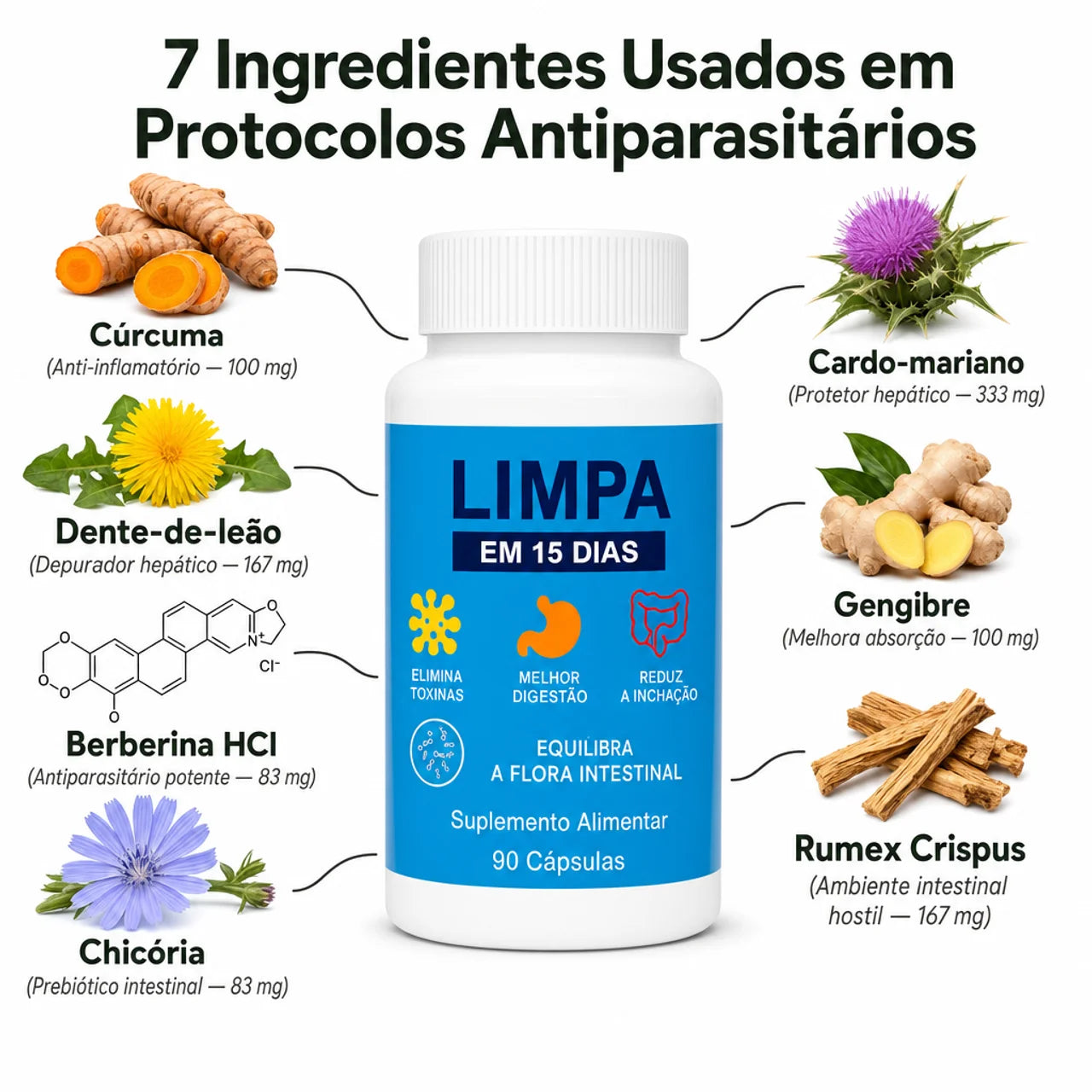 Protocolo Detox